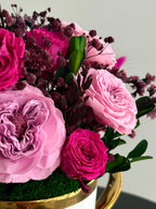 Rosé Amour